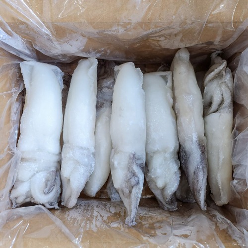 바다몰냉동 손질 갑오징어 (5kg) 300/500